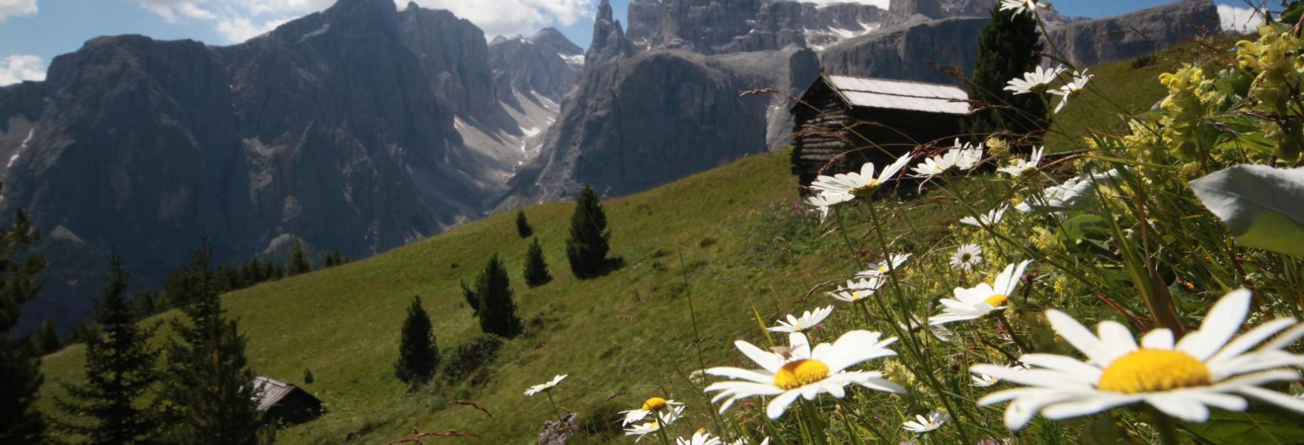 Frühling in Alta Badia